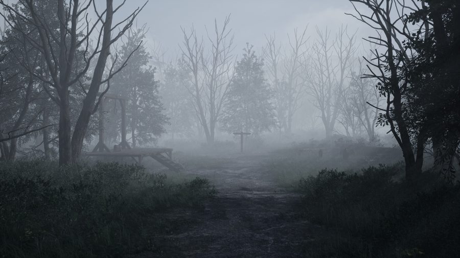 Svalich Woods and the Old Svalich Road